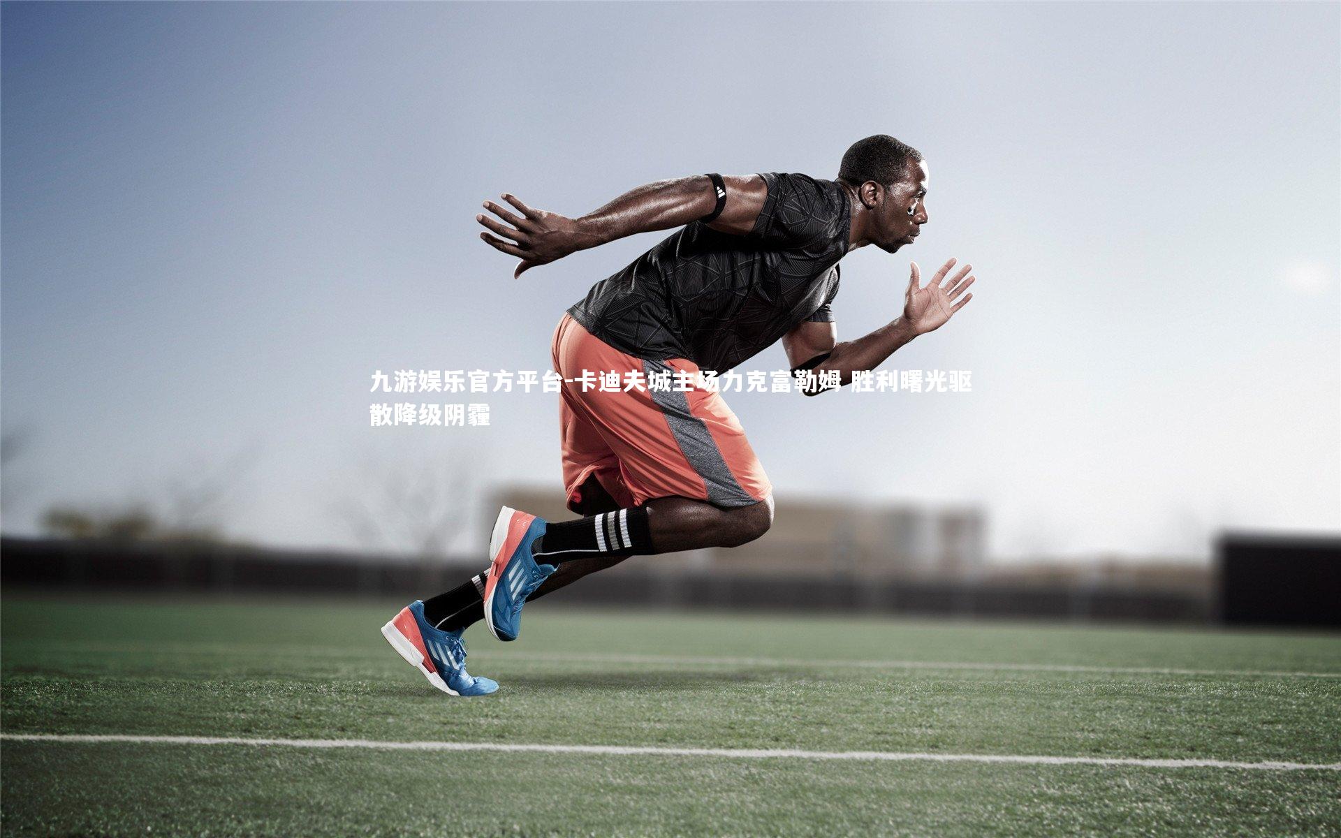 卡迪夫城主场力克富勒姆 胜利曙光驱散降级阴霾